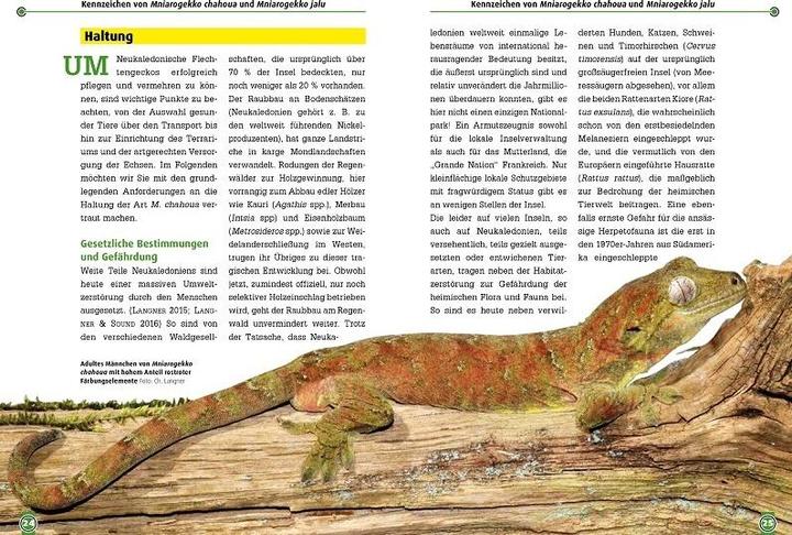 Actual product image Südlicher und Nördlicher Flechtengecko (German, Andreas Laube, Erwin Schröder, Christian Langner, 2018)