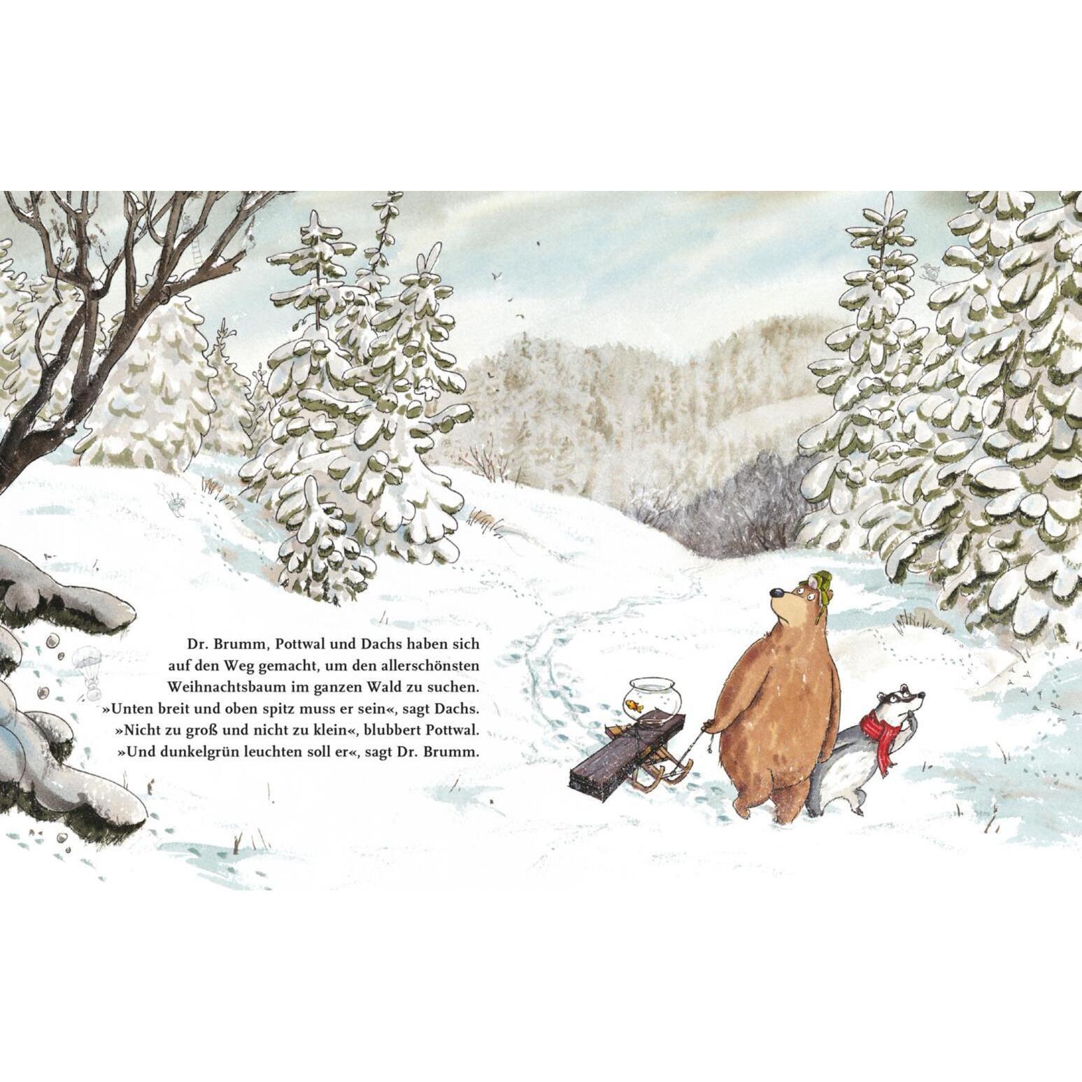Thumbnail - Dr. Brumm feiert Weihnachten, Kinderbücher von Daniel Napp