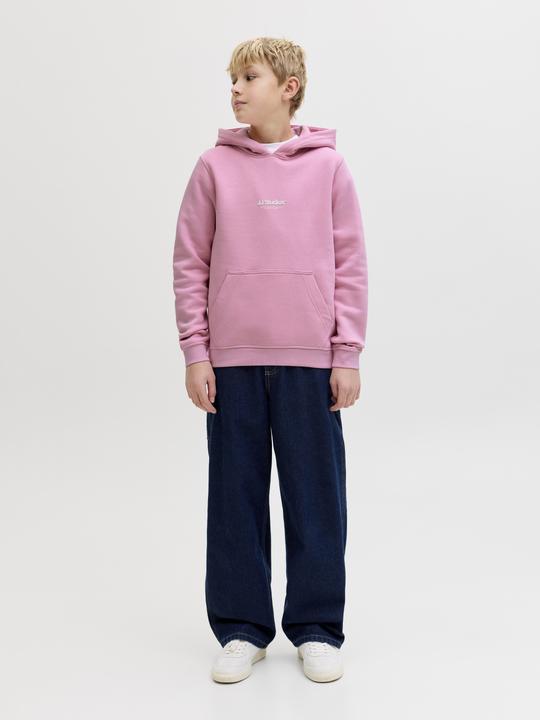 Produktbild Jack & Jones Gedruckt Kapuzenpullover Junior Kapuzenpullover (128)