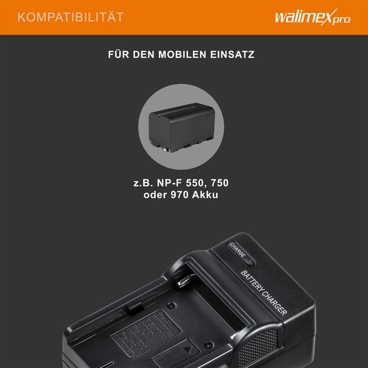 Actual product image Walimex pro NP-F battery charger 1000mA (Camera battery charger)