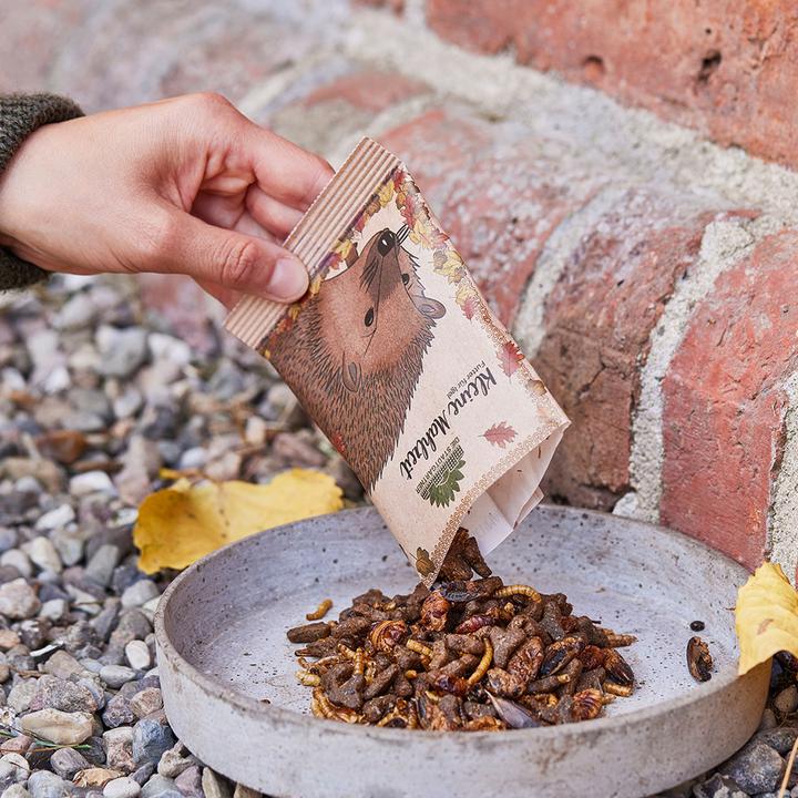 Produktbild Natura Punto Igelfutter (0.03 kg)