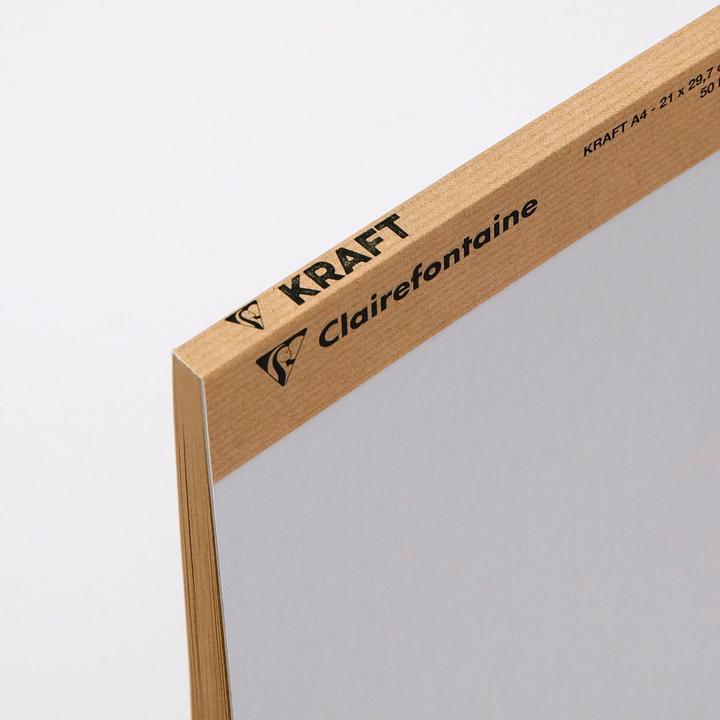Actual product image Clairefontaine Dry techniques (120 g/m²)