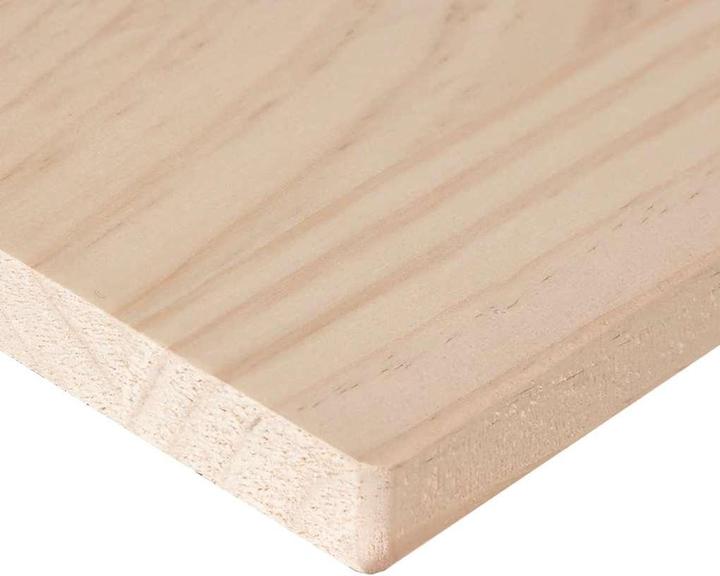 Produktbild vidaXL Abram (50 x 50 x 2,5 cm)