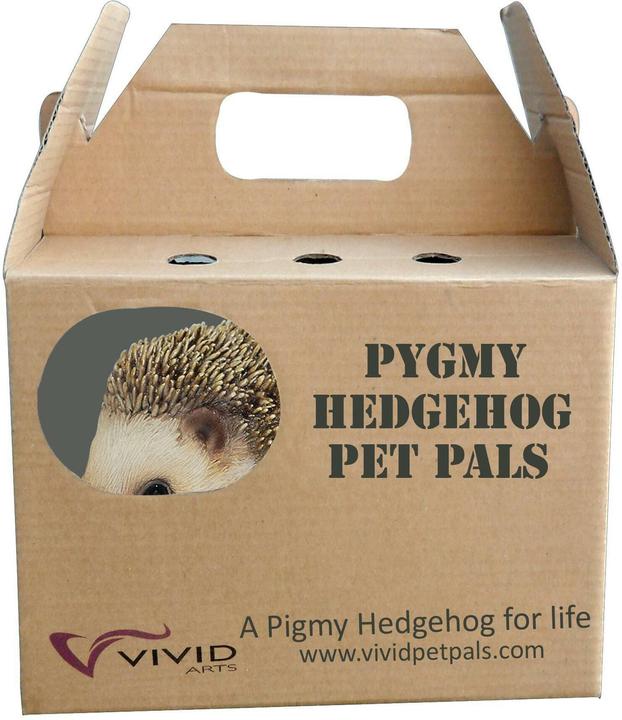 Produktbild Dekofigur Igel, Braun (11 x 11 x 17 cm)