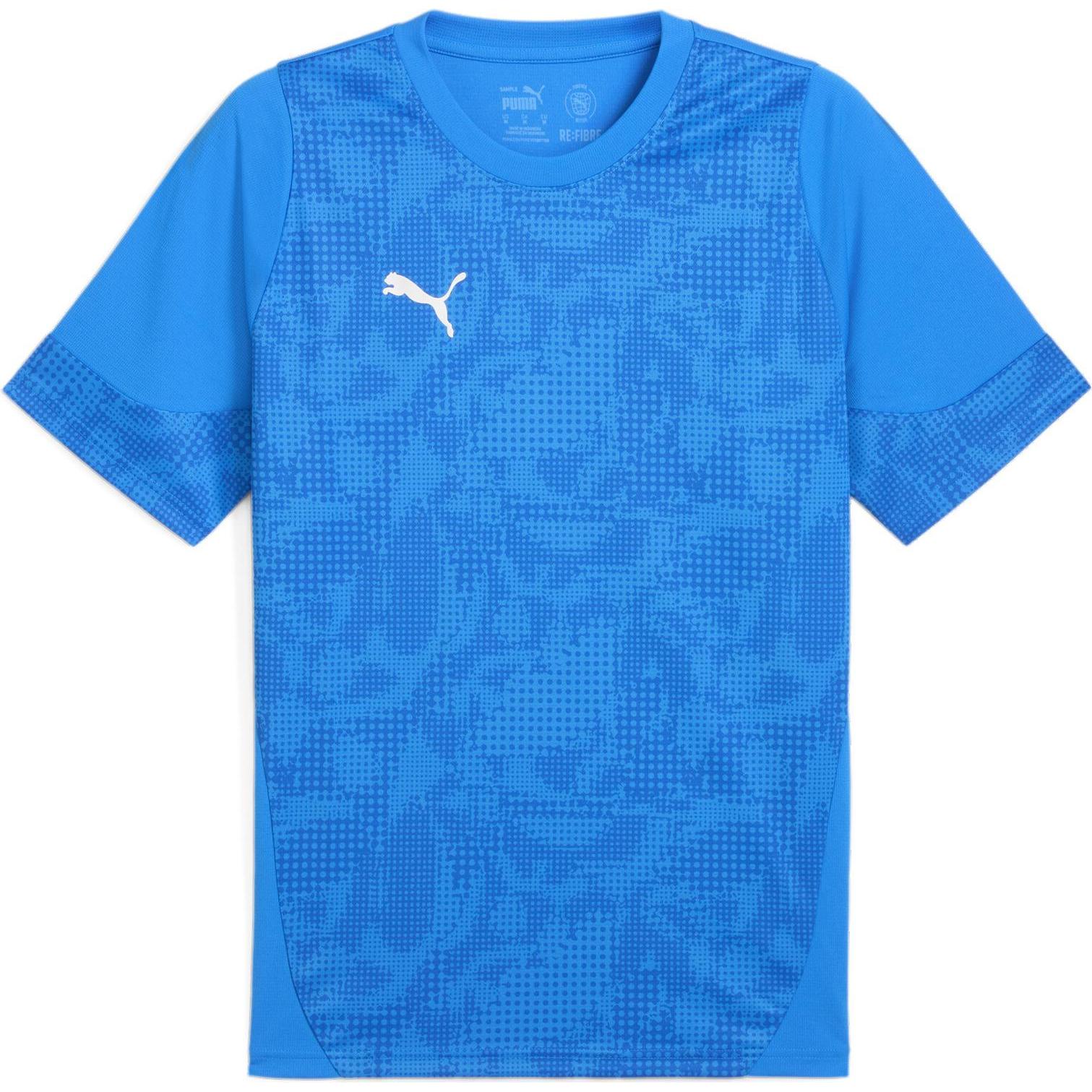 Puma, Herren, Sportshirt, teamCUP Training Jersey (M), Blau, M