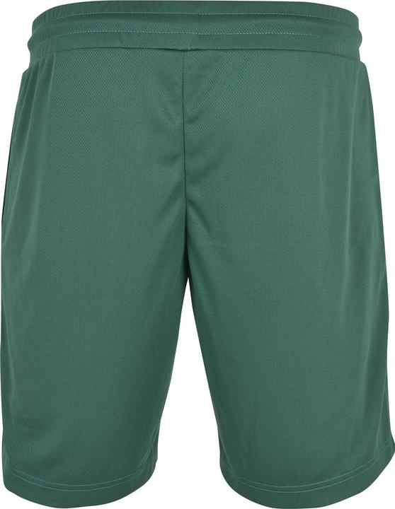 Image du produit Starter Team Mesh Shorts (M)