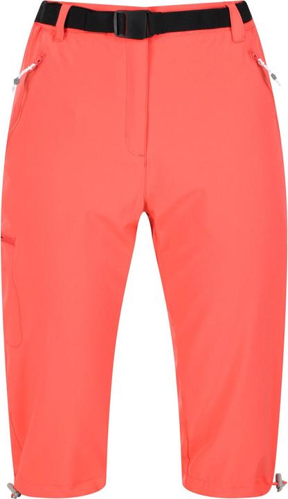 Produktbild Regatta Xert Freizeitshorts (40)