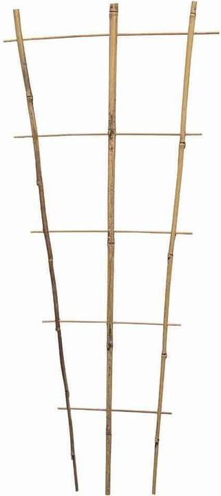 Image du produit Siena Garden Pflanzenhalter (140 cm, 50 cm)