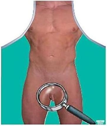 Produktbild Diablo Picante Vergrösserungsschürze Für Herren