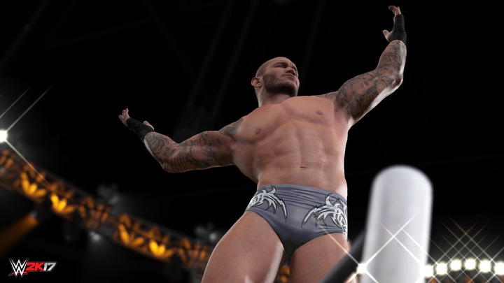 Actual product image 2K Games WWE 2K17 (PS4)