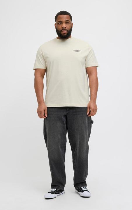 Image du produit Jack & Jones Jorislington Type Tee Ss Crew Neck Pls (8XL)