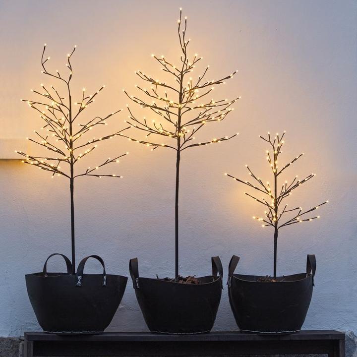 Actual product image Sirius Noah