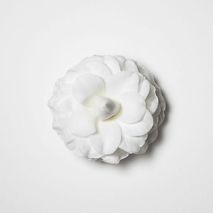 Actual product image Kérastase Elixir Ultime Bain Elixir Ultime (250 ml, Liquid shampoo)