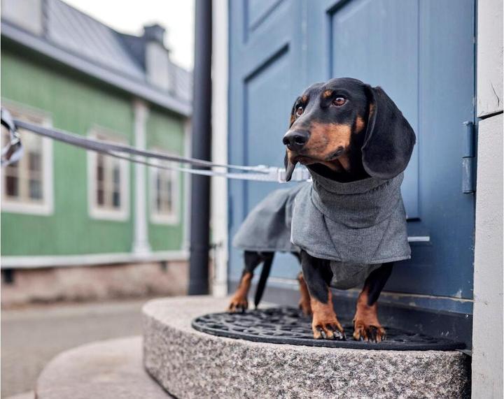 Actual product image Hurtta Expedition Parka II, blackberry 23 (Dog coat)