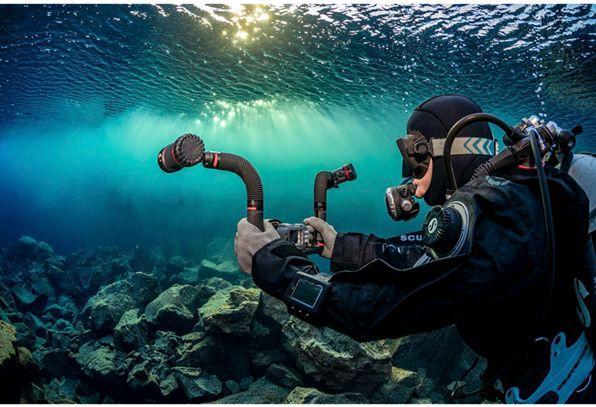 Image du produit Sealife Flex & Connect Flex Arm