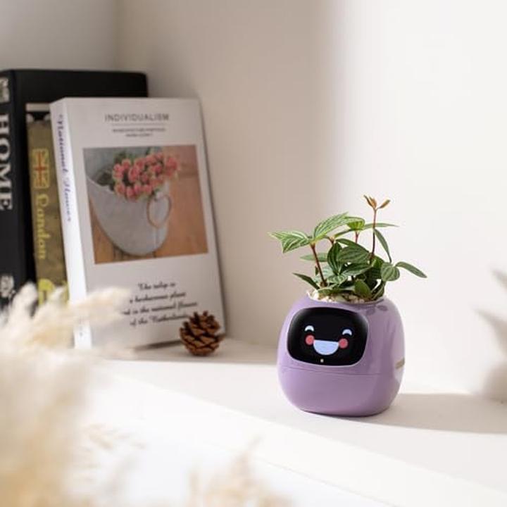 Image du produit Plantsio Ivy Smart Planter (10 cm)
