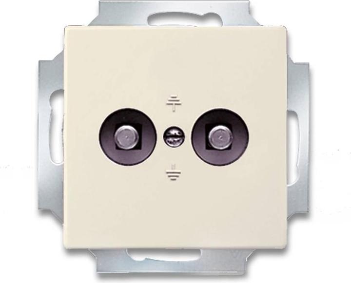 Ivory white