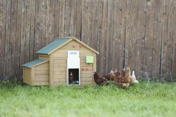 Image du produit Kerbl 70546 Kit de porte automatique pour poulets, y compris porte coulissante, 300 x 400 mm