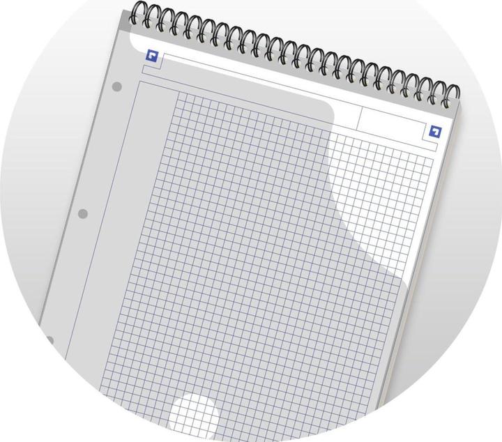 Image du produit Oxford Étudiants Easynotes (A4, Quadrillé, Non contraignant)