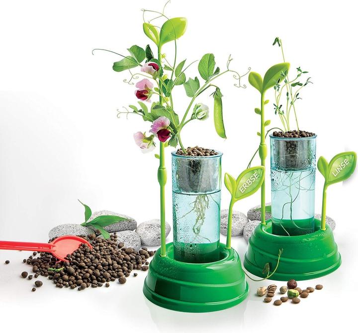 Image du produit Clementoni Botanique et hydroponique