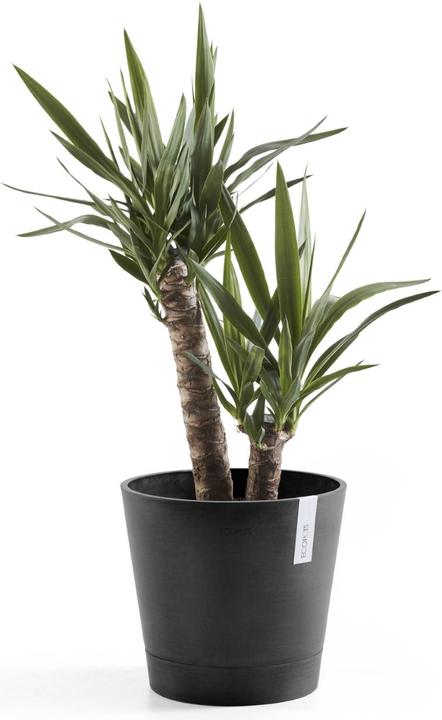 Produktbild Ecopots Venice (30 cm)