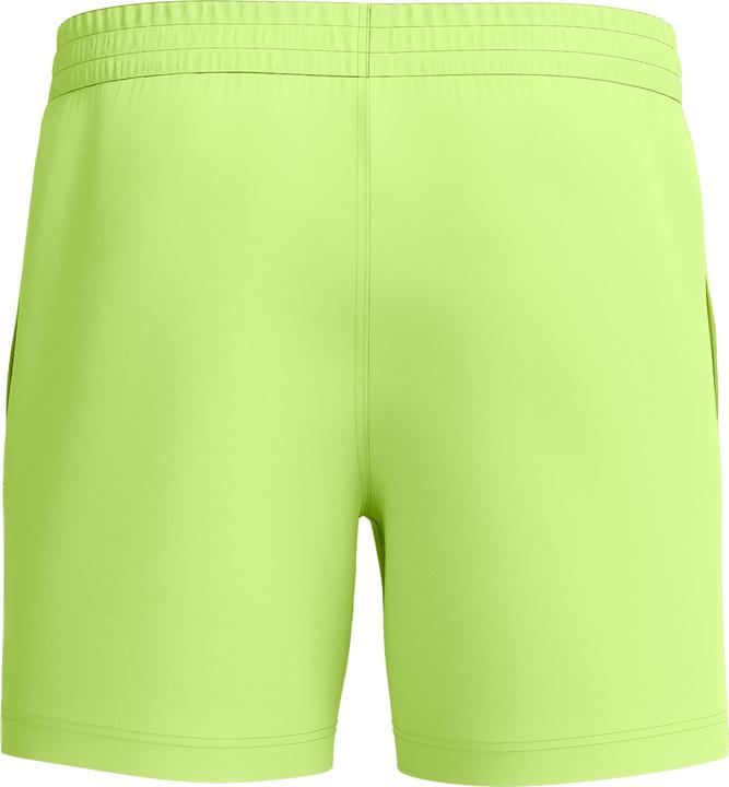 Actual product image Speedo Essential 16" Watershort (L)