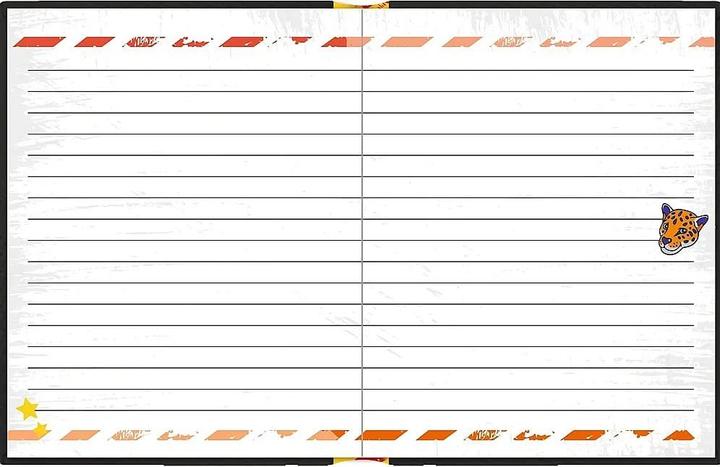 Actual product image Diary: STOP - Top Secret (Plain, Hardcover)