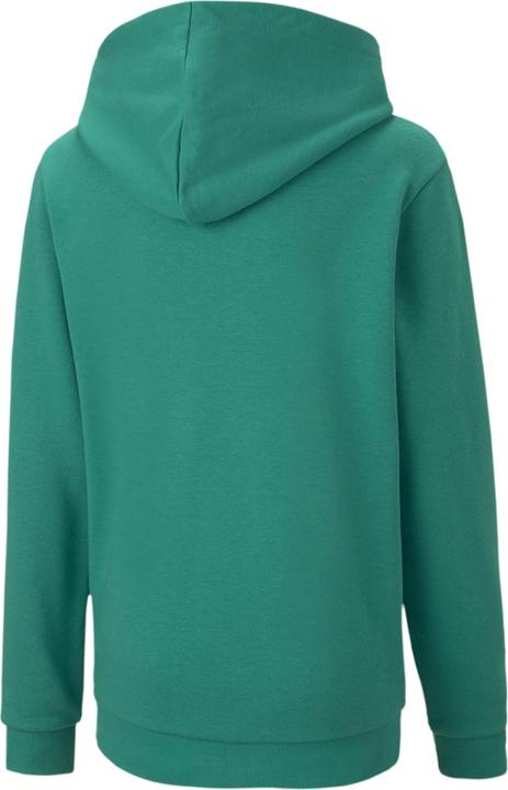 Actual product image Puma teamGOAL 23 Casuals Hoody Jr-656711 (128)