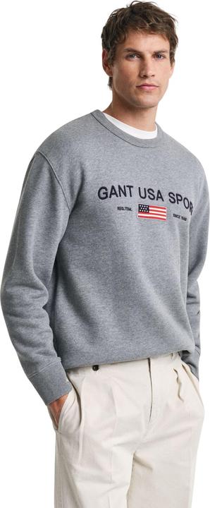 Actual product image GANT Graphic (S)