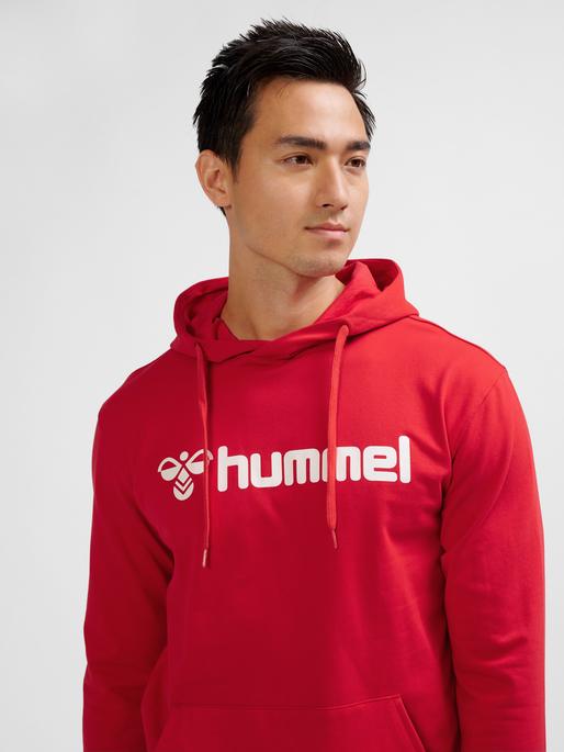 Actual product image hummel HMLGO 2.0 LOGO HOODIE (S)