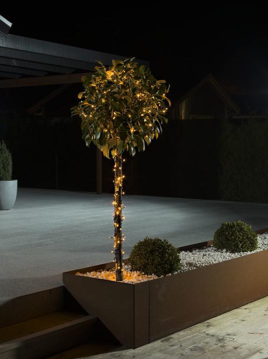 Immagine prodotto Konstsmide 3642-810 Micro luci di fata Au (24.12 m)