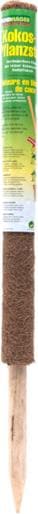 Immagine prodotto Windhager Pianta bastone di cocco (110 cm, 4.50 cm)