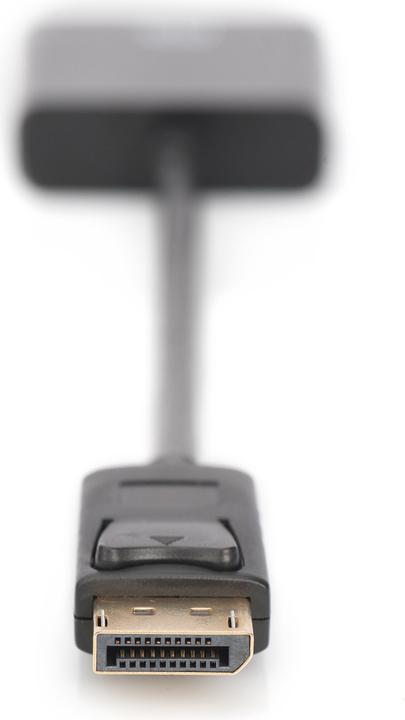 Actual product image Digitus DisplayPort to (DVI, 15 cm)
