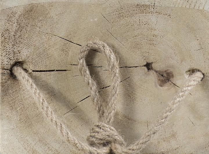 Immagine prodotto Windhager Legno d'ape selvatica (Api)