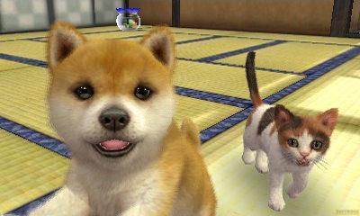 Produktbild Nintendo Nintendogs Cats: Zwergpudel (3DS, DE)