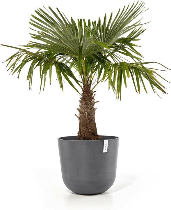 Produktbild Ecopots Oslo (55 x 47.90 cm)