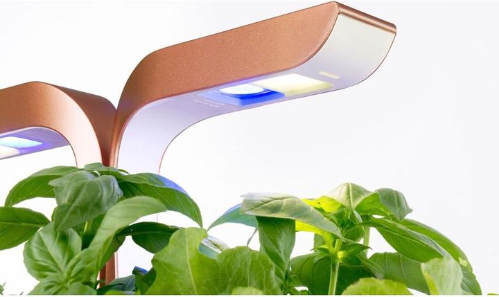 Produktbild Véritable Smart (18.50 cm)