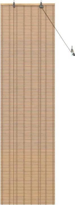 Immagine prodotto VidaXL Tende per finestre (60 x 220 cm)