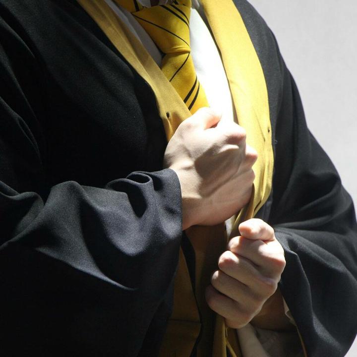 Actual product image Cinereplicas Harry Potter: Hufflepuff (L)