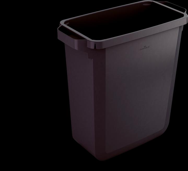 Image du produit Durable DURABIN 60 (60 l)