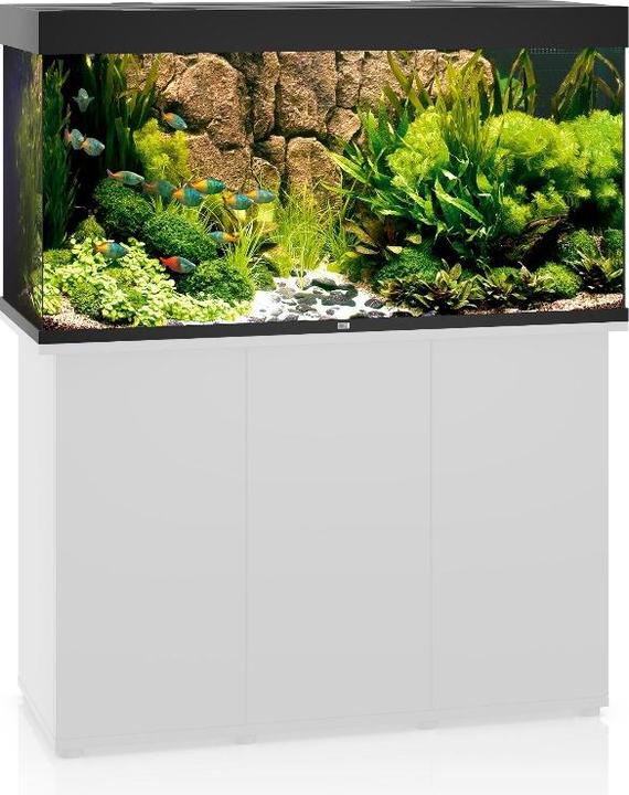 Actual product image Juwel Aquarium Rio (350 l)