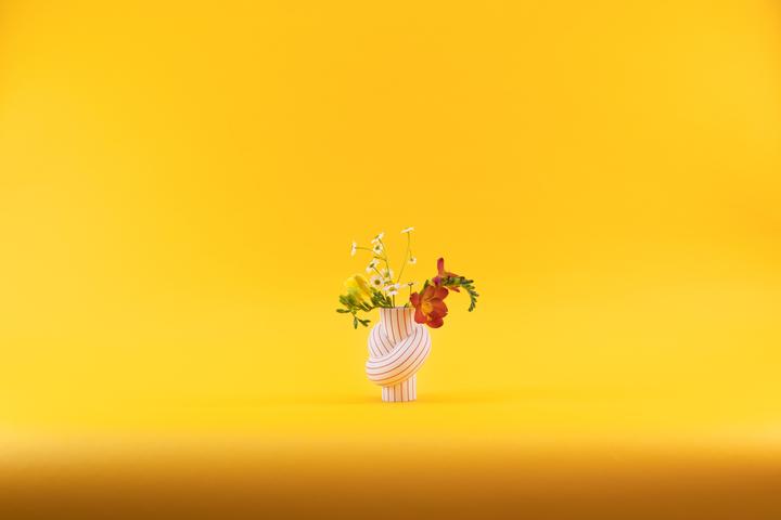 Immagine prodotto Rosenthal Node Stripes - Mango - Vaso 12 cm (1x)