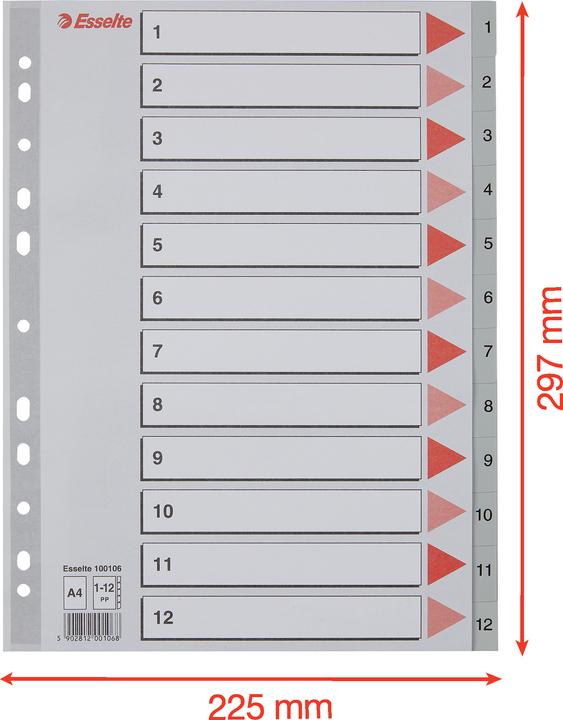 Esselte Plastic register