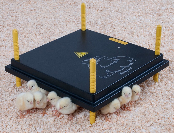 Actual product image Olba Comfort