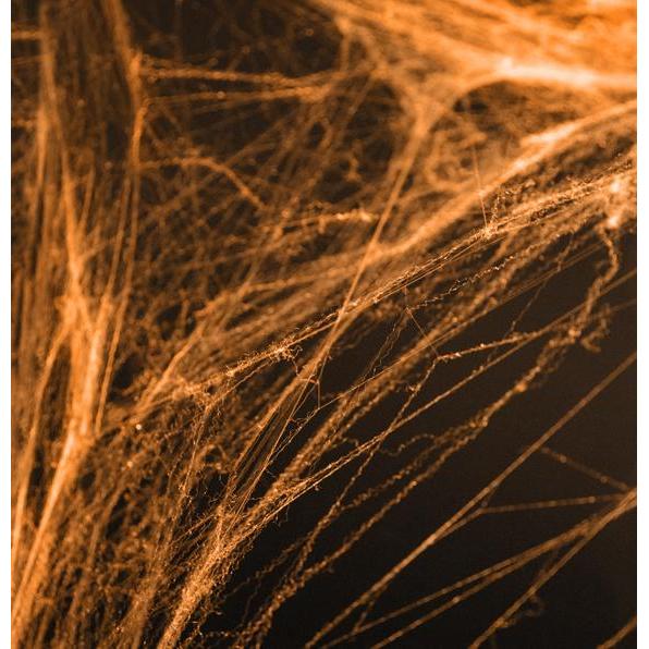 Partydeco Oranges Spinnennetz (60g)