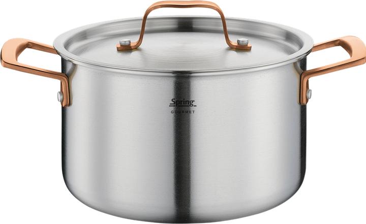 Image du produit Spring Casserole Gourmet rose-or (20 cm, Casserole)