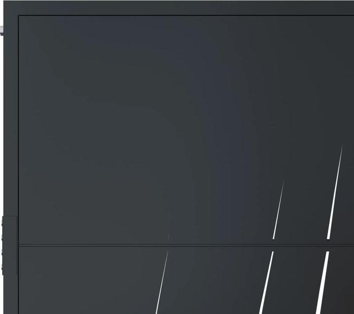 Image du produit vidaXL Gartentor