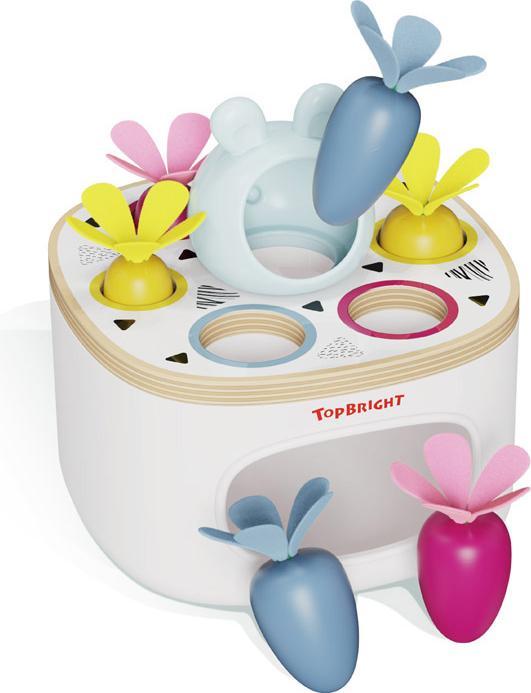 Produktbild Topbright Toys Sortierspiel Karotten