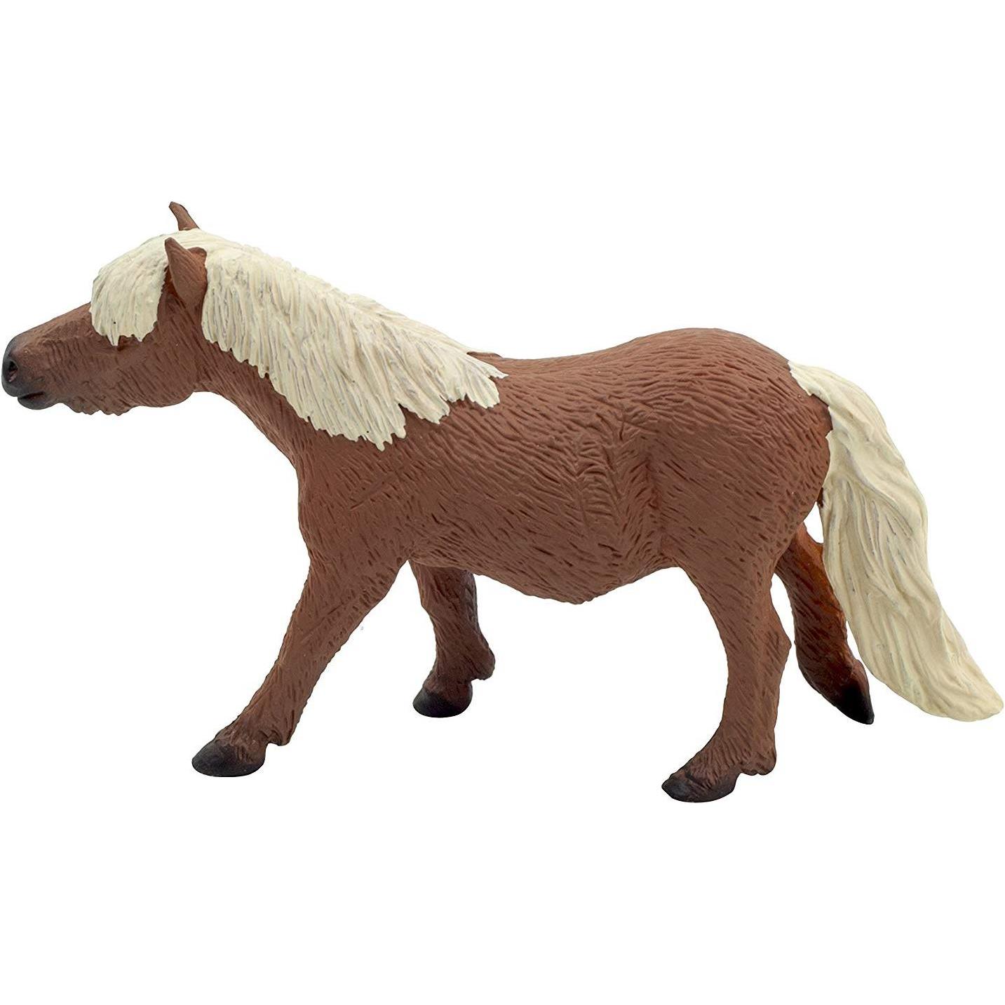 Thumbnail - Mojo Shetlandpony
