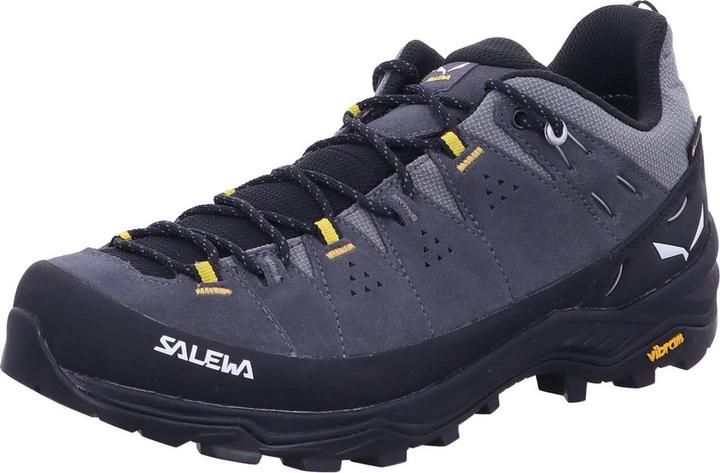 Actual product image Salewa Alp Trainer 2 GTX (43)
